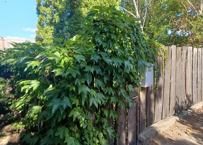 Dunai Panoráma Kisház Tahitófalu